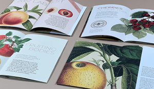 Show details for Saddle-Stitch Booklets - High Quantity