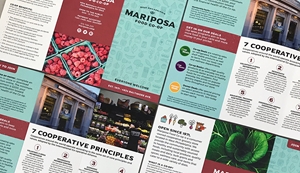 Show details for Brochures