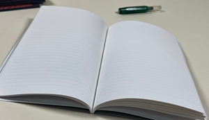Show details for Custom Notebooks