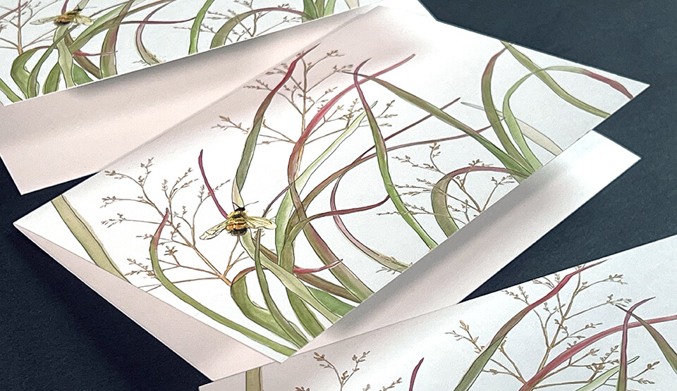 Show details for 20 Dollar Folded Cards!